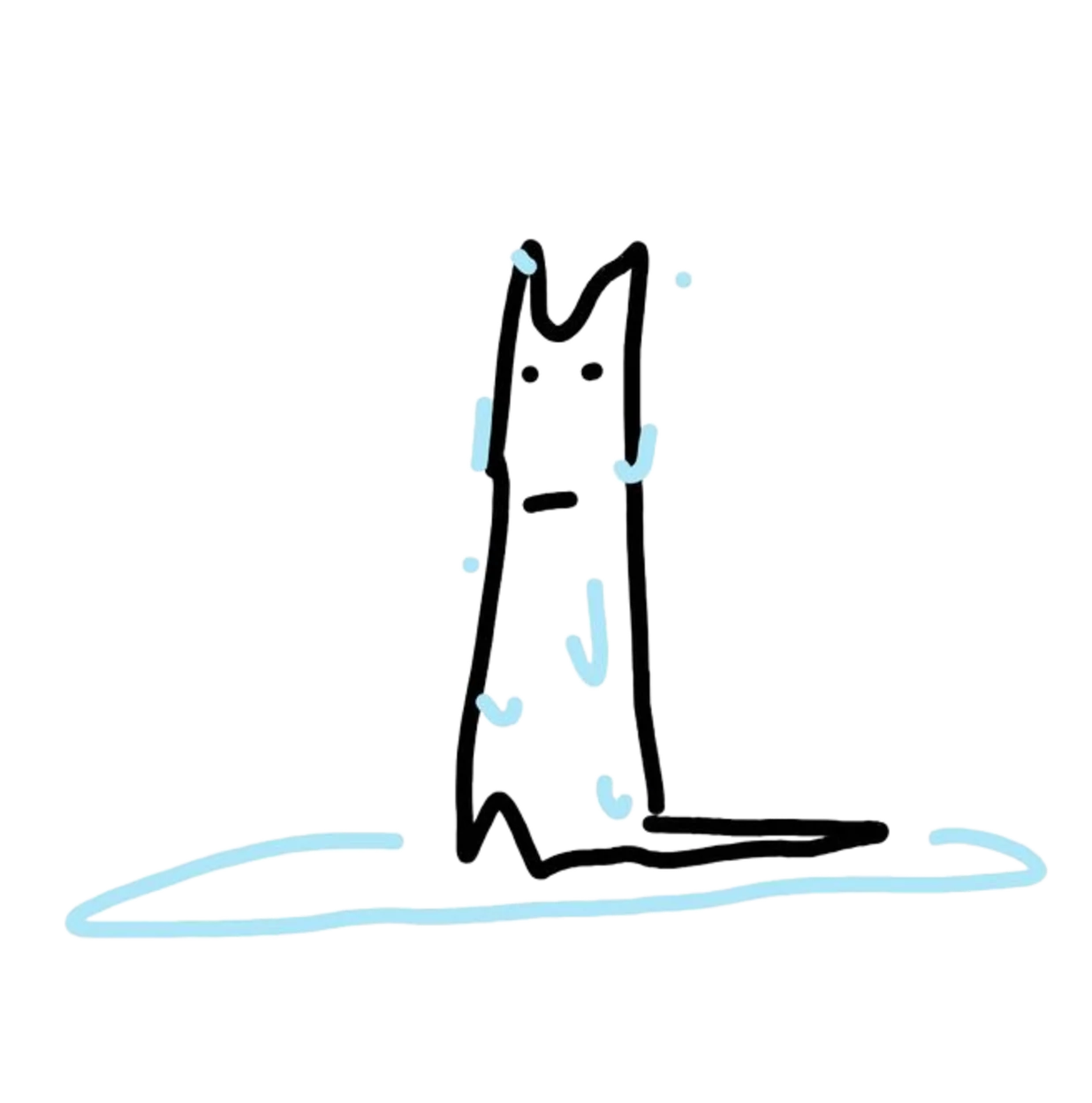 Soaked Cat